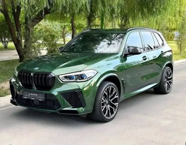 BMW X5 - Image 2