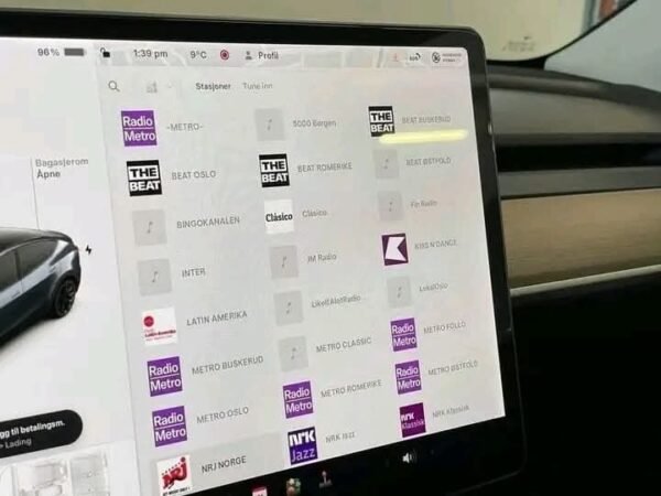 Tesla Model Y Long Range – Image 15