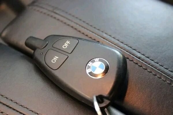 BMW X6
xDrive30d - Image 2