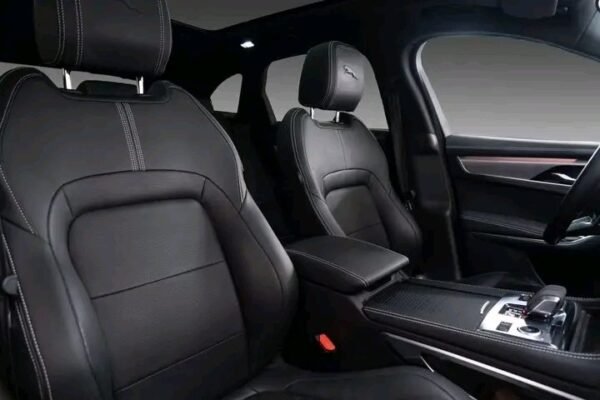 Jaguar F-PACE - Image 9