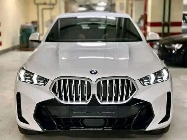 BMW X6 XDrive 30D – Image 2
