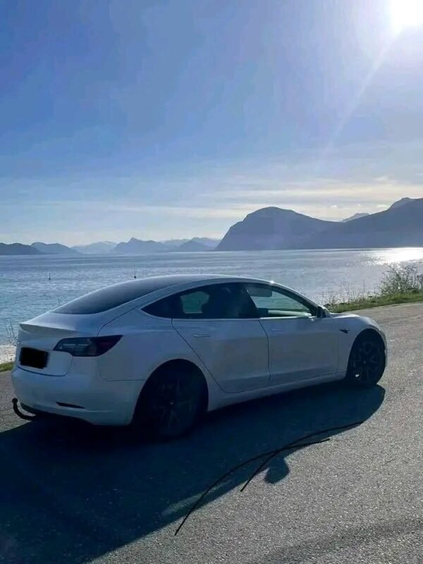 Tesla Model 3 – Image 7