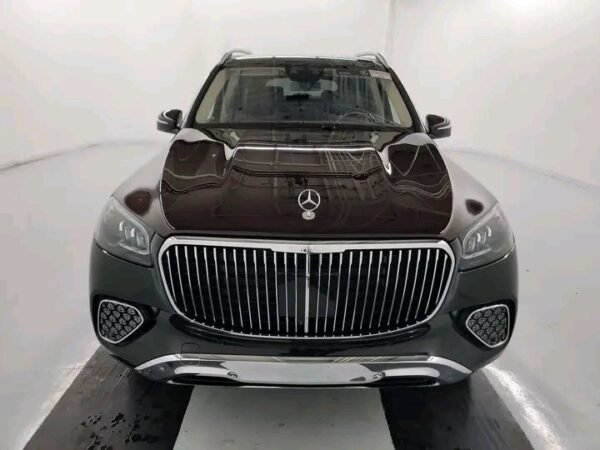 Mercedes-Benz GLS 600 4MATIC – Image 10