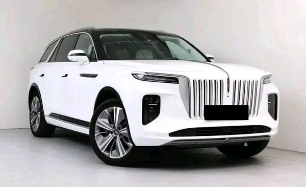 Hongqi E-HS9 - Image 24