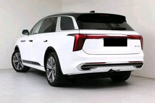 Hongqi E-HS9 - Image 5