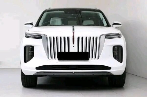 Hongqi E-HS9 - Image 30