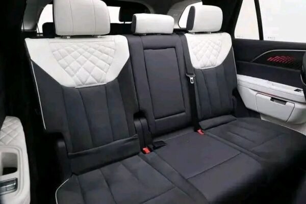 Hongqi E-HS9 - Image 19