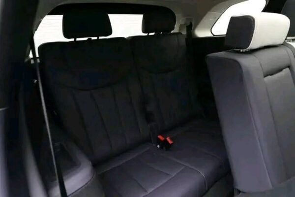 Hongqi E-HS9 - Image 10