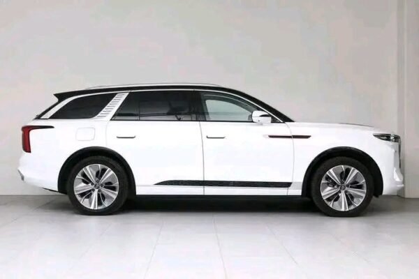 Hongqi E-HS9 - Image 7