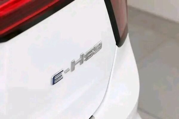 Hongqi E-HS9 - Image 22