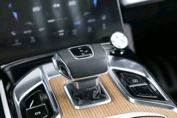 Hongqi E-HS9 - Image 4