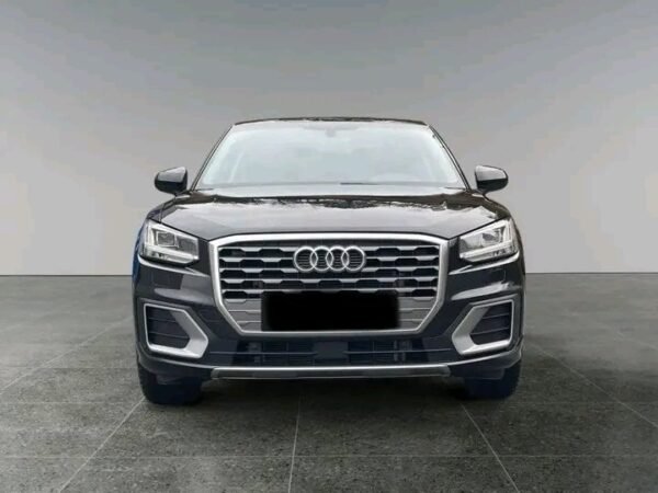 1000021083.jpg Audi Q2