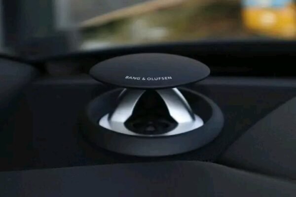 1000025413.jpg Audi A8L