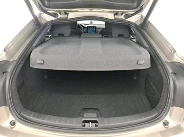 1000026066.jpg Polestar 2 Standard Range