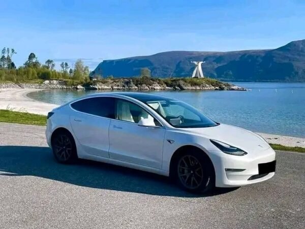 1000029794.jpg Tesla Model 3