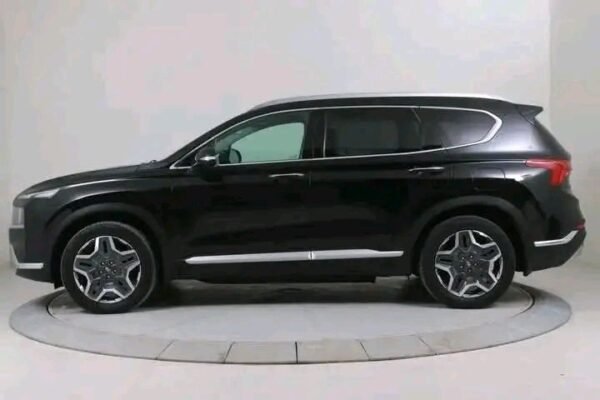 Hyundai Santa Fe PHEV 4WD