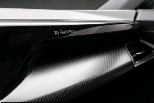 2026/02/1000109303.jpg Audi e-tron GT RS